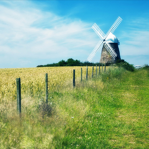 韩国乱伦幼女电影
